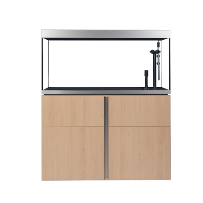 siena_330_buk (3).jpg